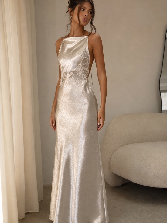 H&M Dresses & Skirts - H&M Champagne Metallic Floral Appliqué Open Back Maxi Dress XS Y2K Formal